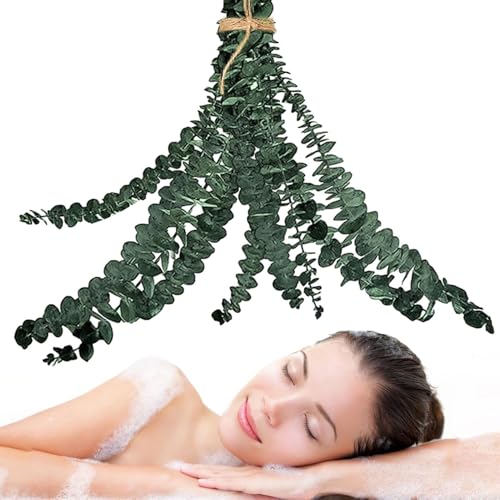 Getrockneter Eukalyptus Für Dusche,10 Stück Natürliche Getrocknete Eukalyptus Pflanze Wohndekoration - Bündel Deko für Bad Wohnzimmer Zuhause Spa von Tanxier
