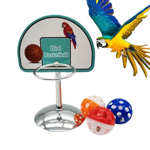 Tanxier Vogel Ball Korb Spielzeug | Vogel Basketballkorb Spielzeug Mit 3 Klingelbällen,Wellensittich Spielgerüst Für Interaktive Aktivitäten Mit Sittichen Und Nymphensittichen Tanxier Vogel Ball Korb Spielzeug | Vogel Basketballkorb Spielzeug Mit 3 Klingelbällen,Wellensittich Spielgerüst Für Interaktive Aktivitäten Mit Sittichen Und Nymphensittichen von Tanxier