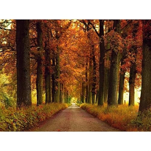 Herbst Dekoration Poster Hintergrund Wand Kunstdruck Brücke Malerei Bild Wohnzimmer Dekoration Leinwand Malerei A4 30X40Cm Kein Rahmen von Tanyang