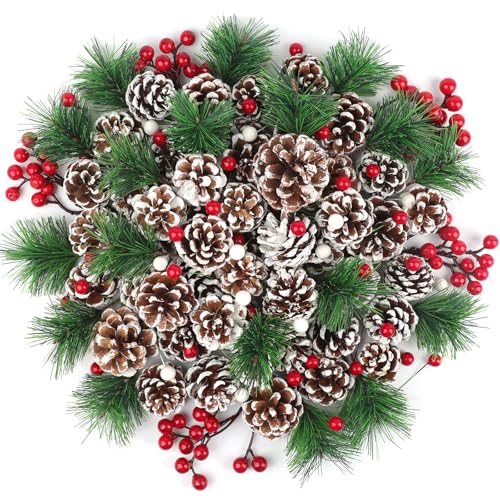TaoQ C 150 Stück Weihnachten Tannenzapfen Weihnachten Kiefernzapfen Natürliche Schnee Tannenzapfen Beere Kiefer Zweig Ornamente für DIY Handwerk Home Xmas Winter Vase Füller Dekoration TaoQ C 150 Stück Weihnachten Tannenzapfen Weihnachten Kiefernzapfen Natürliche Schnee Tannenzapfen Beere Kiefer Zweig Ornamente für DIY Handwerk Home Xmas Winter Vase Füller Dekoration von TaoQ C
