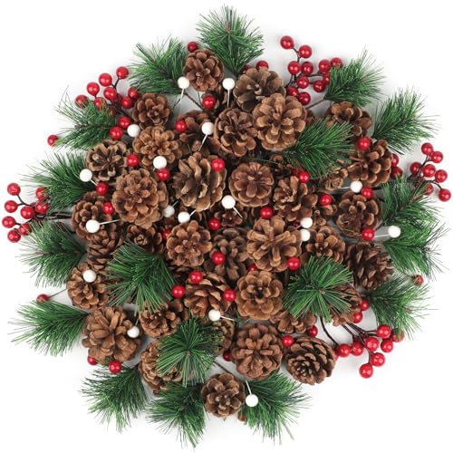 TaoQ C 150 Stück Weihnachten Tannenzapfen Weihnachten Kiefernzapfen Natürliche Tannenzapfen Beere Kiefer Zweig Ornamente für DIY Handwerk Home Xmas Winter Vase Füller Dekoration TaoQ C 150 Stück Weihnachten Tannenzapfen Weihnachten Kiefernzapfen Natürliche Tannenzapfen Beere Kiefer Zweig Ornamente für DIY Handwerk Home Xmas Winter Vase Füller Dekoration von TaoQ C