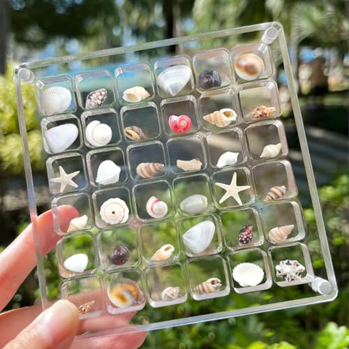 TaoQ C Acryl Magnetische Muschel Display Box, 36 Gitter Muscheln Aufbewahrungsbox Muschel Display Box Transparente Seashell Lagerung für Muschel Bead, Nagel, Schmuck von TaoQ C
