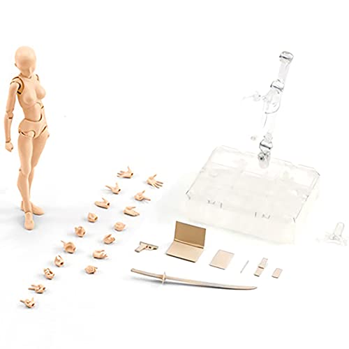 Taomeng Gliederpuppe - Zeichnung Figuren Mannequin Mann/Frau Actionfigur Modell Schaufensterpuppe, Flexibler Mannequin, Holzpuppe Zum Zeichnen Für Anfänger, Profis Und Künstler, Weiß Taomeng Gliederpuppe - Zeichnung Figuren Mannequin Mann/Frau Actionfigur Modell Schaufensterpuppe, Flexibler Mannequin, Holzpuppe Zum Zeichnen Für Anfänger, Profis Und Künstler, Weiß von Sun 'N' Sand