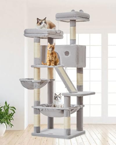 Taoqimiao Kratzbaum Groß MS026W, 146cm Katzen Kratzbaum Stabil Aktivitätskratzbäum Mehrstöckiger Katzenbaumr Katzenmöbel mit Katzenhaus, Hängematte, Korb, 8 Kratzsäulen, Katzenkratztafel, Hellgrau Taoqimiao Kratzbaum Groß MS026W, 146cm Katzen Kratzbaum Stabil Aktivitätskratzbäum Mehrstöckiger Katzenbaumr Katzenmöbel mit Katzenhaus, Hängematte, Korb, 8 Kratzsäulen, Katzenkratztafel, Hellgrau von Taoqimiao