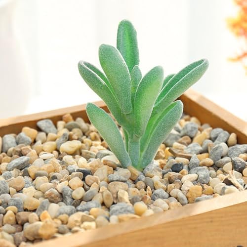 DIY beflockte Sukkulenten Lotus für Haus und Garten, umweltfreundliches PVC + PE, perfekt für Büro und kreative Projekte (MM684 (MM008 (10 cm) von Taotalhomy