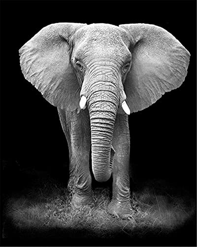 DiY 5D Diamant Malerei Voll Set Schwarzer weißer Elefant Diamant Painting Erwachsene Kinder Full Kristall Strass Stickerei Kreuzstich Diamond Gemälde Kunst Handwerk Home Wand Dekor 30x40cm E1390 von Taoyoou