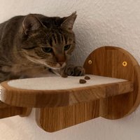 Katzenstufe | Katzentrittstufe Kletterwand Wohnzimmer Holzstufe Mit Eingelassenem Teppich von TapTapTailworks