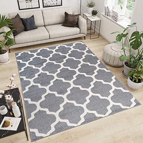 Designer Teppich Wohnzimmer Teppich GRAU MODERN MAROKKANISCHE Muster, Größe: 80 x 150 cm von TAPISO