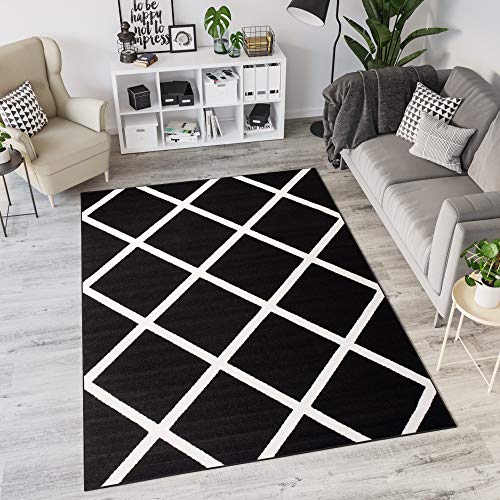 TAPISO Laila Teppich Modern Kurzflor Schwarz Weiß Geometrisch Karo Streifen Gitter Design Wohnzimmer Schlafzimmer 140 x 190 cm von TAPISO