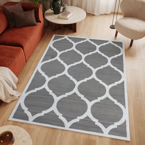 TAPISO Luxury Teppich Kurzflor Grau Weiß Modern Marokkanisch Geometrisch Gitter Muster Bordüre Wohnzimmer Schlafzimmer Vorzimmer ÖKOTEX 120 x 170 cm von TAPISO