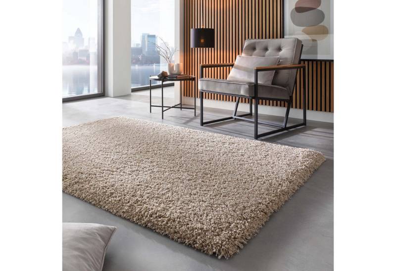 TaraCarpet Langflor-Teppich Ragolle Twilight, rechteckig, Höhe: 60 mm, Shaggy Hochflorteppich beige Wohnzimmer Schlafzimmer 065x130 TaraCarpet Langflor-Teppich Ragolle Twilight, rechteckig, Höhe: 60 mm, Shaggy Hochflorteppich beige Wohnzimmer Schlafzimmer 065x130 von TaraCarpet