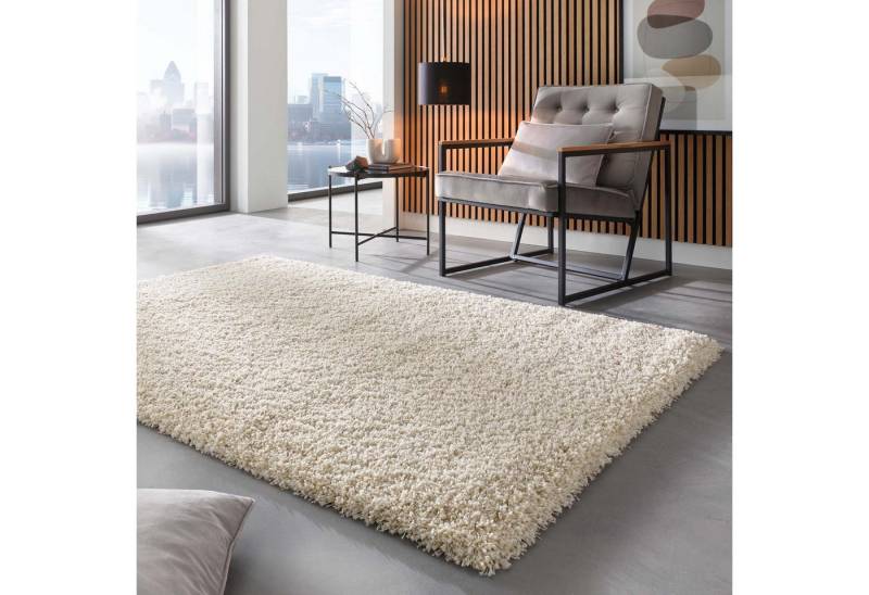TaraCarpet Langflor-Teppich Ragolle Twilight, rechteckig, Höhe: 60 mm, Shaggy Hochflorteppich weiß Wohnzimmer Schlafzimmer 065x130 TaraCarpet Langflor-Teppich Ragolle Twilight, rechteckig, Höhe: 60 mm, Shaggy Hochflorteppich weiß Wohnzimmer Schlafzimmer 065x130 von TaraCarpet