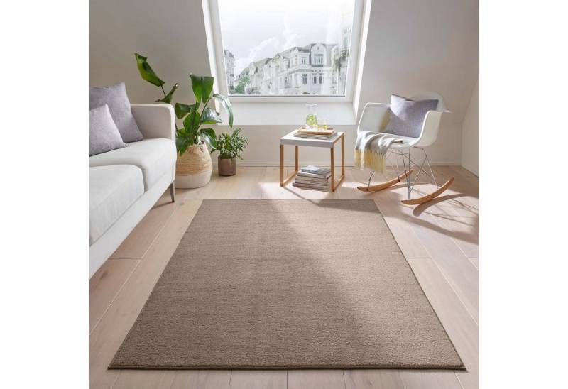 TaraCarpet Teppich TaraCarpet Kitten sehr weich und waschbar für Wohnzimmer Schlafzimmer, rechteckig, Höhe: 12 mm, Kurzflor Teppich uni einfarbig super soft weich waschbar taupe 120x170 von TaraCarpet