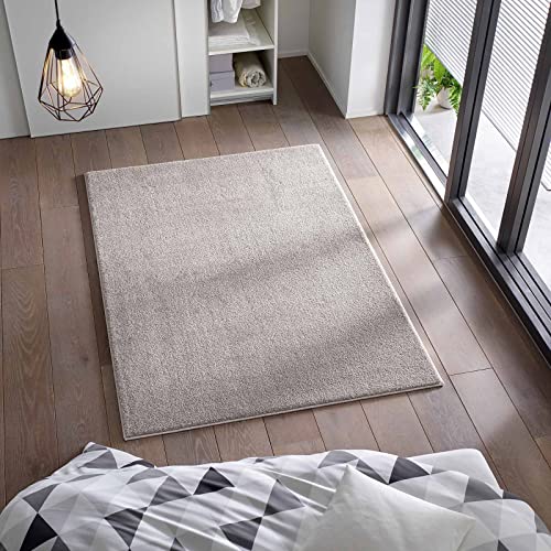 Taracarpet Kurzflor Flachgewebe Teppich für Wohnzimmer, Kinderzimmer und Schlafzimmer Einfarbig Uni Grau Silber 160x220 cm von Taracarpet