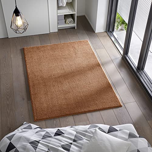 Kurzflor Flachgewebe Teppich für Wohnzimmer, Kinderzimmer und Schlafzimmer Einfarbig Uni Terracotta 120x170 cm von Taracarpet