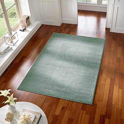 Taracarpet Teppich Kurzflor modern für Wohnzimmer Schlafzimmer und das Kinderzimmer super weich und Öko Tex Zertifiziert Mint grün 080x150 cm von Taracarpet