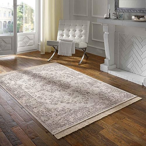 Taracarpet Teppich Palazzo Royal Kerman grau 160x230 cm Kurzflor Orientteppich für Wohnzimmer Esszimmer und Schlafzimmer Taracarpet Teppich Palazzo Royal Kerman grau 160x230 cm Kurzflor Orientteppich für Wohnzimmer Esszimmer und Schlafzimmer von Taracarpet