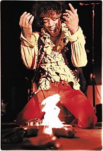 Target Store Jimi Hendrix Monterey Pop Festival 1967 Guitar Fire Poster, gerollt, 30,5 x 45,7 cm von Targets