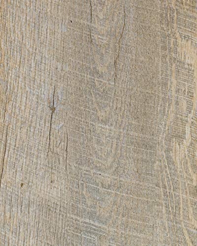 Tarkett Vinylboden Smoked Oak Light Grey | Holzoptik Eiche Hellgrau | PVC Bodenbelag zum Kleben von Tarkett