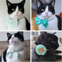 Katzenhalsband Mit Schleife/Rosette Fliege Grün Katzenhalsband Mit Schleife/Rosette Fliege Grün von TaschenTruhe