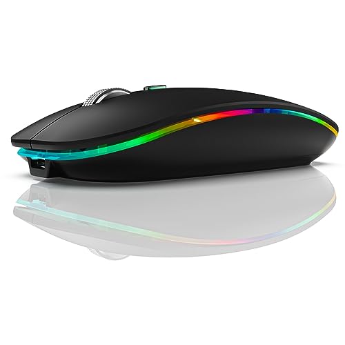 Tassety BT5.1+2.4Ghz Wireless Mouse with Mouse Jiggler,Rechargeable 2.4G Mouse, Mouse Mover for USB-Enabled Computer Reusable Black von Tassety