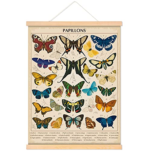 Tatuo Vintage Papillons Schmetterlinge Poster Wandkunst Drucke Rustikale Stil von Schmetterlingen Wandbehang für Wohnzimmer Klassenzimmer Schlafzimmer Spielzimmer Dekor Rahmen 15,7 x 19,7 Zoll von Tatuo