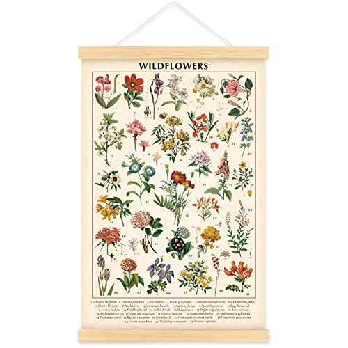 Vintage Wildblumen Poster botanische Wandkunstdrucke bunter rustikaler Stil des floralen Wandbehangs illustrative Referenz Blumendiagramm Poster für Wohnzimmer Büro Schlafzimmer Dekor Rahmen 39x59 cm von Tatuo