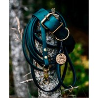 Biothane Halsband Und Leine Im Set Für Große Kleine Hunde Viele Farben von NordlichtDogsShop