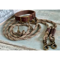 Lederhaldband Und Tauleine Verstellbar Für Kleine Hunde Welpen von NordlichtDogsShop