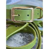 Lederhalsband Und Fettlederleine Für Große Kleine Hunde von NordlichtDogsShop
