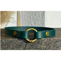 Markenband Biothane Mit Ringkarabiner von TauForDogs