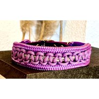 Tauhalsband Paracord Hundehalsband Mit Leder Und Schnalle von NordlichtDogsShop