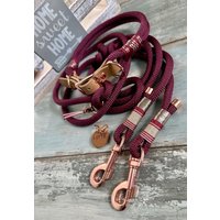 Tauhalsband Und Hundeleine Im Set Oder Einzeln Für Große Kleine Hunde Personalisiert Mit Ledermarke Tauhalsband Und Hundeleine Im Set Oder Einzeln Für Große Kleine Hunde Personalisiert Mit Ledermarke von TauForDogs