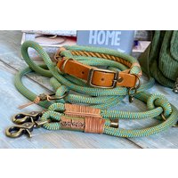 Tauhalsband Und Tauleine Für Große Kleine Hunde von NordlichtDogsShop