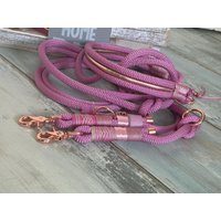 Tauhalsband Und Tauleine Fuchsia Rosegold Verstellbar Für Große Kleine Hunde von NordlichtDogsShop
