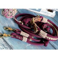 Tauleine Und Halsband Für Hunde Verstellbar Im Set Oder Einzeln von NordlichtDogsShop