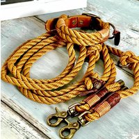 Tauhalsband Und Tauleine Im Set Aus Segeltau in Vielen Farben von TauForDogs