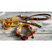 Tauhalsband Und Tauleine Mit Lederhandschlaufe Verstellbar Für Große Kleine Hunde von NordlichtDogsShop