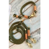 Tauhalsband Und Tauleine Mit Messing Beschlägen Verstellbar Personalisiert von NordlichtDogsShop