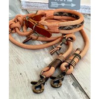 Tauhalsband Und Tauleine Verstellbar Für Große Hunde Personalisiert Mit Ledermarke von NordlichtDogsShop