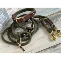 Tauhalsband Und Tauleine Verstellbar Für Große Kleine Hunde von NordlichtDogsShop