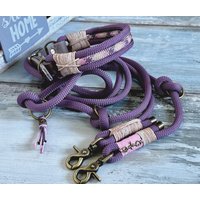 Tauleinen Und Halsband Set Malve Antik Messing Verstellbar Personalisiert Mit Ledermarke von TauForDogs