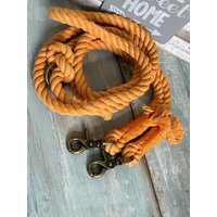 Tauleine Hundeleine Aus Baumwolltau Kürbis Verstellbar von NordlichtDogsShop