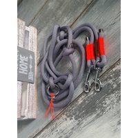 Tauleine Hundeleine Verstellbar von NordlichtDogsShop