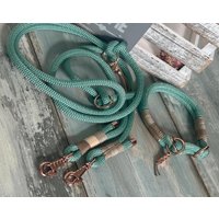 Zugstopp Halsband Und Tauleine Für Kleine Hunde Verstellbar Peppermint Roségold von NordlichtDogsShop