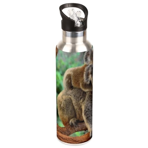 Koala-Muster, isolierte Wasserflasche mit Strohhalm-Deckel, 590 ml, Sport-Wasserflasche, doppelwandig, Vakuum, Edelstahl, BPA-frei, auslaufsicher, Metall-Kantine für Schule, Sport, Fitnessstudio von Tavisto