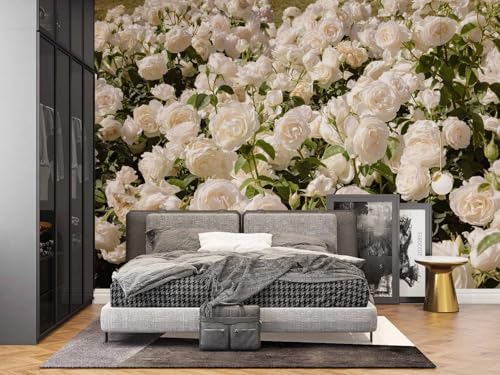3D Effect Photo Wallpaper, Rosen Weiß,150x105cm Wallpaper, Wall Poster, Fototapete Schlafzimmer, Wall Decoration for Living Room 3D Effect Photo Wallpaper, Rosen Weiß,150x105cm Wallpaper, Wall Poster, Fototapete Schlafzimmer, Wall Decoration for Living Room von Taxpy