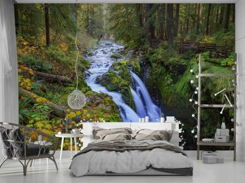 3D Effect Photo Wallpaper, Tropische Regenwaldlandschaft, 150x105cm Wallpaper, Wall Poster, Fototapete Schlafzimmer, Wall Decoration for Living Room 3D Effect Photo Wallpaper, Tropische Regenwaldlandschaft, 150x105cm Wallpaper, Wall Poster, Fototapete Schlafzimmer, Wall Decoration for Living Room von Taxpy