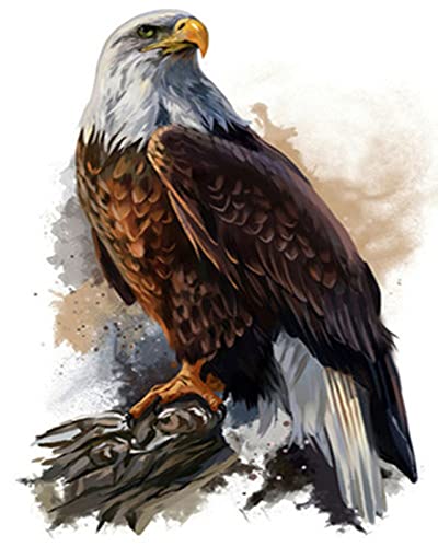 Acryl Malen Nach Zahlen Stadt Adler Diy Ölgemälde Nach Zahlen Tiere Leinwand Gemälde Wohnkultur Wandkunst, Kein Rahmen, 40 X 50 Cm Diy Ölgemälde Malen Nach Zahlen Erwachsene Kit Zoll Für Anfänger, K Acryl Malen Nach Zahlen Stadt Adler Diy Ölgemälde Nach Zahlen Tiere Leinwand Gemälde Wohnkultur Wandkunst, Kein Rahmen, 40 X 50 Cm Diy Ölgemälde Malen Nach Zahlen Erwachsene Kit Zoll Für Anfänger, K von Taxpy