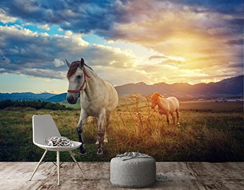 Wandbilder Wand Deko 3D-Tapete mit weißem Pferd und Tier, 352 x 250 cm Wandaufkleber Kinderzimmer Wandsticker Wohnzimmer Sticker Hintergrund Wandbilder von Taxpy